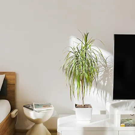 Apartment Kronvalda - Walk To Old Town - Free P *